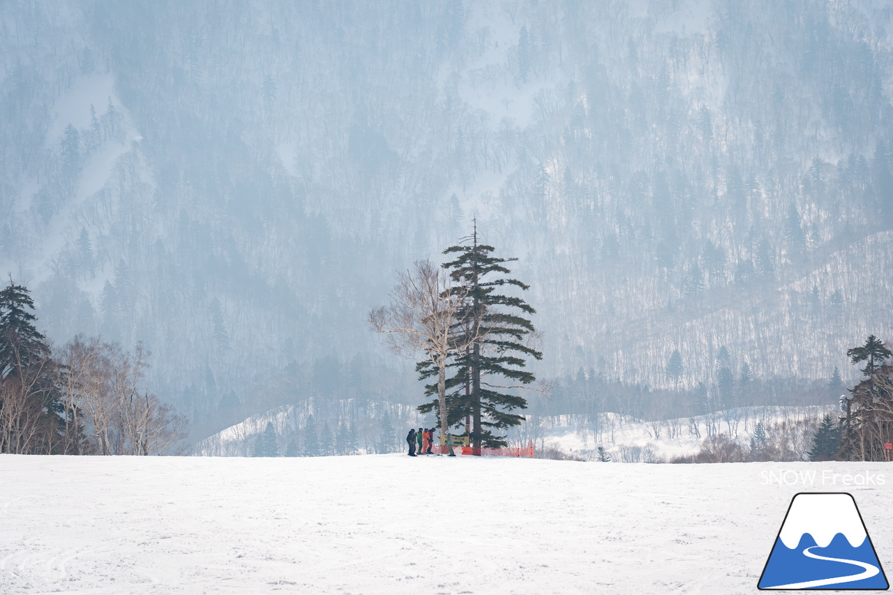 札幌国際スキー場｜さすが『KOKUSAI』！春シーズンも安泰の豊富な積雪で、まだまだ余裕で全面滑走可能です(^^)v